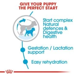 Royal Canin Dry Dog Food For Mini Starter Mother & Babydog - All Sizes -Pet Supplies 0b1aj4jlt3m