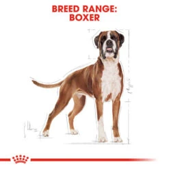 Royal Canin Dry Dog Food Specifically For Adult Boxer - All Sizes 17 Royal Canin Dry Dog Food Specifically For Adult Boxer - All Sizes -Pet Supplies 0ouja0ltgdi