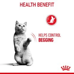 Royal Canin Dry Cat Food Appetite Control Care 2kg 18 Royal Canin Dry Cat Food Appetite Control Care 2kg -Pet Supplies 0rxob3oekd3
