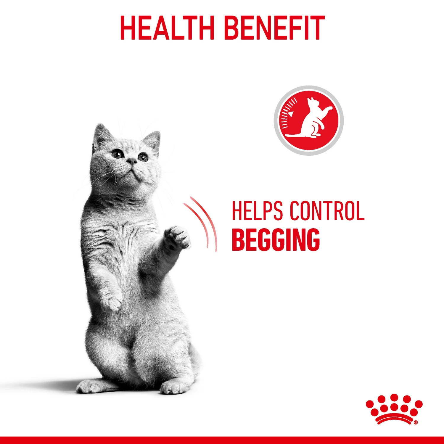 Royal Canin Dry Cat Food Appetite Control Care 2kg 8 Royal Canin Dry Cat Food Appetite Control Care 2kg - Image 6