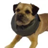 Thrive Comfy Inflatable Dog Collar For Post Surgery -Pet Supplies 0saowj3kpq1