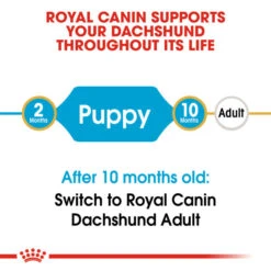 Royal Canin Dry Dog Food Specifically For Puppy Dachshund 1.5kg -Pet Supplies 0wejvpezmje
