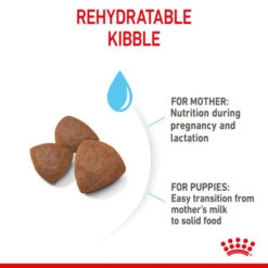 Royal Canin Dry Dog Food For Medium Starter Mother & Babydog - All Sizes -Pet Supplies 0xv3h0qzplp