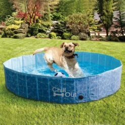 All For Paws Chill Out Splash And Fun Dog Pool -Pet Supplies 0zs1flfl4nv 7e7a3556 6f87 42cf b69e 6f77aff2f3df