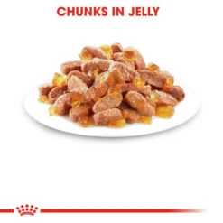 Royal Canin Wet Cat Food Kitten Pouch In Jelly 48 X 85g -Pet Supplies 10wzcg2j2ec