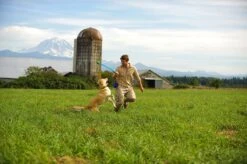 Chuckit! Pro 25 Dog Ball Launcher Thrower Medium 64cm - Assorted Colours -Pet Supplies 1cviyimbz0f