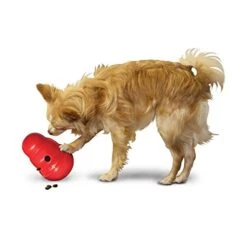 KONG Wobbler - All Sizes -Pet Supplies 1inmeetfcjb
