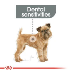 Royal Canin Dry Dog Food For Dental Care In Mini Dogs 8kg -Pet Supplies 1isgsub4s2u