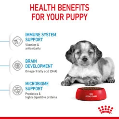 Royal Canin Dry Dog Food For Medium Puppies - All Sizes -Pet Supplies 1mbnzetsr0y