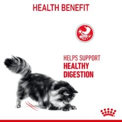 Royal Canin Digestive Care Adult Dry Cat Food For Cats -Pet Supplies 1vtjua5lkvh