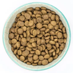 Burns Adult Small Toy Breed 2Kg Chicken & Rice Dog Food -Pet Supplies 23g5g0fhxlh