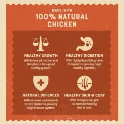 James Wellbeloved Chicken & Rice Puppy Wet Dog Food 400g X 12 -Pet Supplies 2cnmsnebob4