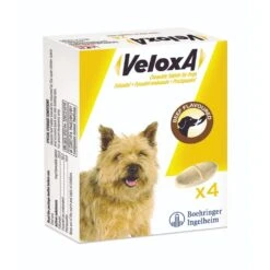 Boehringer Ingelheim Veloxa Chewable Worming Tablets For Dogs -Pet Supplies 2do3fxyun22 48450538 9057 4550 bbbe c5a4e214ea20
