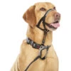 Halti Dog Headcollar - Black 2 Halti Dog Headcollar - Black -Pet Supplies 2imv3oiiyji