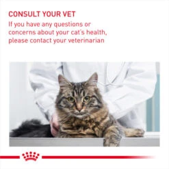 Royal Canin Hairball Care Adult Dry Cat Food For Cats 27 Royal Canin Hairball Care Adult Dry Cat Food For Cats -Pet Supplies 2uucjkesgpo
