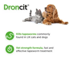 Droncit Tablet Tapewormer For Cats And Dogs - All Pack Sizes -Pet Supplies 33yhr0cxnjx 805118c3 7ee4 43e3 a20b b6d0c0348e9a