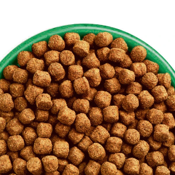 James Wellbeloved Lamb & Rice Adult Dog Food 7 James Wellbeloved Lamb & Rice Adult Dog Food - Image 5