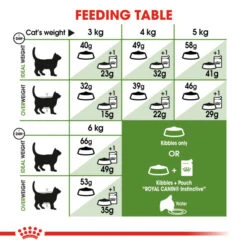 Royal Canin Outdoor Adult Dry Cat Food For Cats 4kg -Pet Supplies 3opt4estuk4