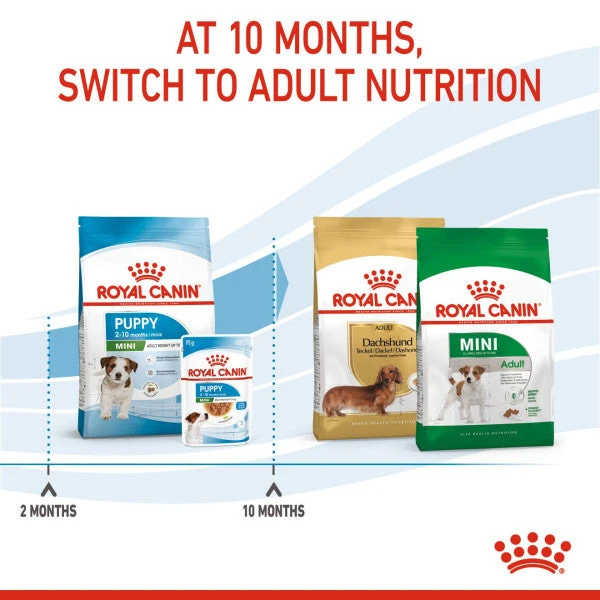 Royal Canin Nutritional Dry Dog Food For Mini Puppy - 2kg 9 Royal Canin Nutritional Dry Dog Food For Mini Puppy - 2kg - Image 7