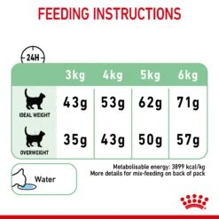 Royal Canin Digestive Care Adult Dry Cat Food For Cats -Pet Supplies 41q4vnoz1vh