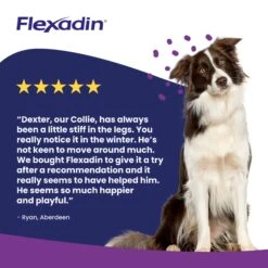 Vetoquinol Flexadin UC-II Joint Care For Dogs -Pet Supplies 4sqyysownxp