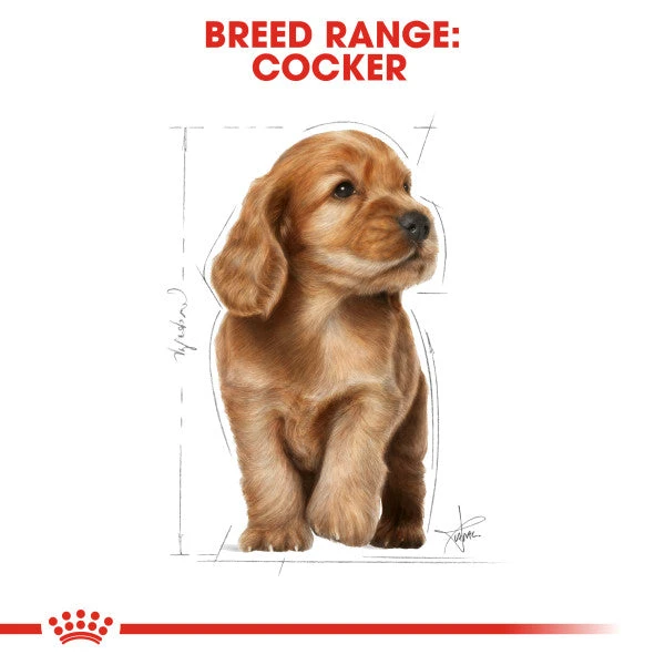 Royal Canin Dry Dog Food Specifically For Puppy Cocker 3kg 7 Royal Canin Dry Dog Food Specifically For Puppy Cocker 3kg - Image 5