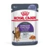Royal Canin Appetite Control Care In Jelly Adult Wet Cat Food For Cats 12 X 85g -Pet Supplies 5004z0cpihw