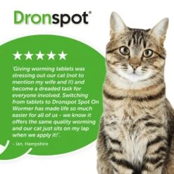Dronspot Spot On Wormer For Small, Medium & Large Cats - 1 Or 2 Pipettes -Pet Supplies 51m4izwnz13