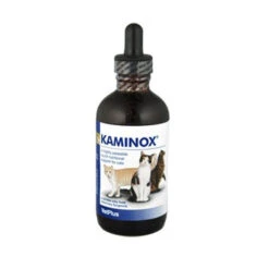 Kaminox Liquid Nutritional Supplement For Cats -Pet Supplies 5aglyibmh5c 3a2eb78d bc77 4933 ae17 37567cda8b10