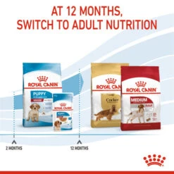 Royal Canin Dry Dog Food For Medium Puppies - All Sizes -Pet Supplies 5euyvqw0xcp