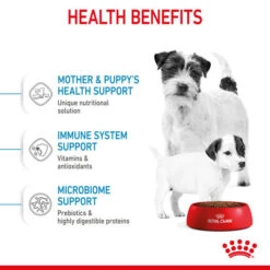 Royal Canin Dry Dog Food For Mini Starter Mother & Babydog - All Sizes -Pet Supplies 5ia2rak2lur