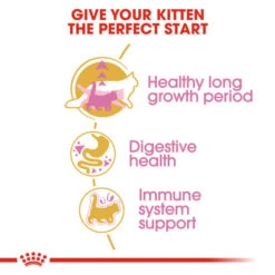 Royal Canin Maine Coon Kitten Dry Food For Cats -Pet Supplies 5ibqd43z1ul
