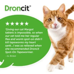 Droncit Spot-On Tapewormer For Cats (from 1kg), 4 Tubes 13 Droncit Spot-On Tapewormer For Cats (from 1kg), 4 Tubes -Pet Supplies 5naeldgelsi