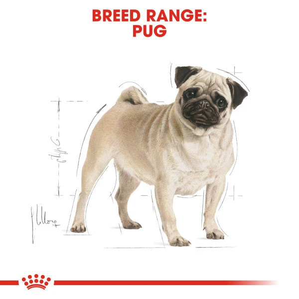 Royal Canin Dry Dog Food Specifically For Adult Pug - All Sizes 10 Royal Canin Dry Dog Food Specifically For Adult Pug - All Sizes - Image 8