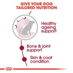 Royal Canin Wet Dog Food For Medium Ageing Senior 10+ Dogs 10x140g -Pet Supplies 5qlq51llqze