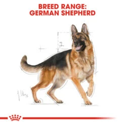 Royal Canin Dry Dog Food Specifically For Adult German Shepherds - All Sizes -Pet Supplies 5waxzetaeg2