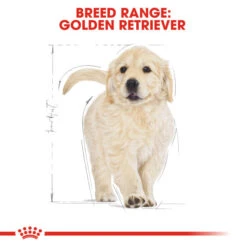 Royal Canin Dry Dog Food Specifically For Puppy Golden Retriever - All Sizes 16 Royal Canin Dry Dog Food Specifically For Puppy Golden Retriever - All Sizes -Pet Supplies anbslhklqa4