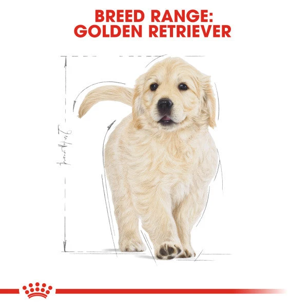 Royal Canin Dry Dog Food Specifically For Puppy Golden Retriever - All Sizes 8 Royal Canin Dry Dog Food Specifically For Puppy Golden Retriever - All Sizes - Image 6