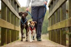 Halti Walking Harness - Various Colours -Pet Supplies azavtducx5d