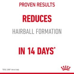 Royal Canin Hairball Care Adult Dry Cat Food For Cats 16 Royal Canin Hairball Care Adult Dry Cat Food For Cats -Pet Supplies b3qwyfdpwsz