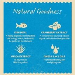 James Wellbeloved Adult Cat Food Fish & Rice 11 James Wellbeloved Adult Cat Food Fish & Rice -Pet Supplies bi3ds4qk2gp