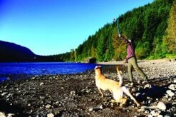 Chuckit! Pro 25 Dog Ball Launcher Thrower Medium 64cm - Assorted Colours -Pet Supplies blmvshga1kq