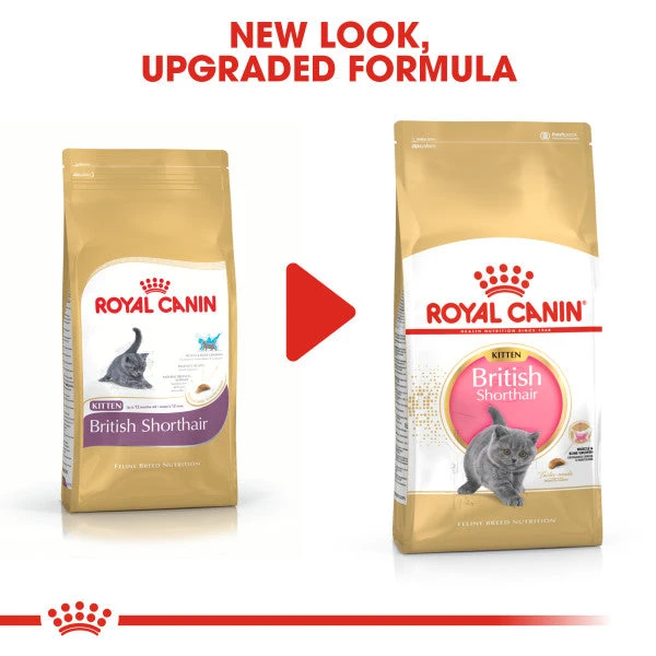 Royal Canin British Shorthair Kitten Dry Food For Cats 10kg 4 Royal Canin British Shorthair Kitten Dry Food For Cats 10kg - Image 2