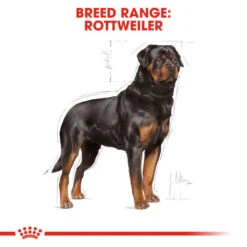 Royal Canin Dry Dog Food Specifically For Adult Rottweiler 12kg 17 Royal Canin Dry Dog Food Specifically For Adult Rottweiler 12kg -Pet Supplies brkufc5mo4r