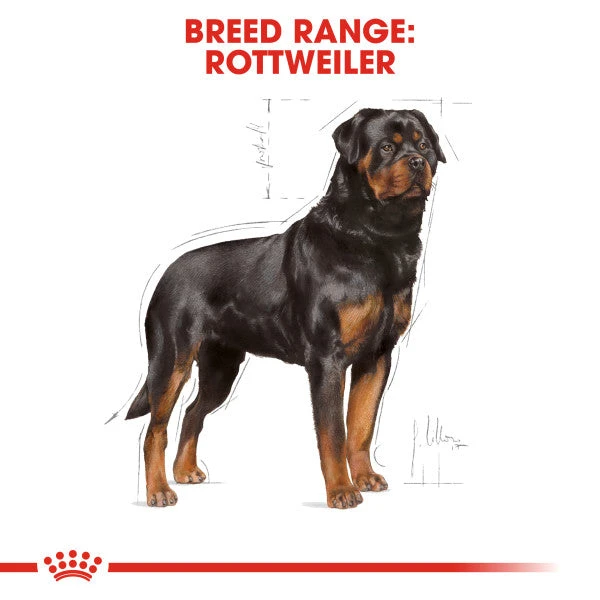 Royal Canin Dry Dog Food Specifically For Adult Rottweiler 12kg 10 Royal Canin Dry Dog Food Specifically For Adult Rottweiler 12kg - Image 8