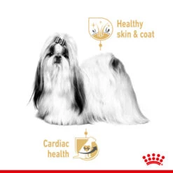 Royal Canin Wet Dog Food Specifically For Adult Shih Tzu 12x85g -Pet Supplies btutq3akoyt