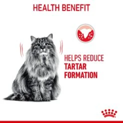 Royal Canin Dental Care Adult Dry Cat Food For Cats- Various Sizes -Pet Supplies btuzfabufbl