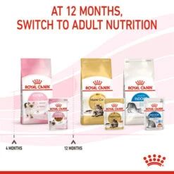 Royal Canin Wet Cat Food Kitten Instinctive Pouch In Gravy 12 X 85g -Pet Supplies bvd1q4r1cwe
