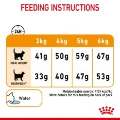 Royal Canin Hair & Skin Care Adult Dry Cat Food For Cats -Pet Supplies bwcrtxe1ghs