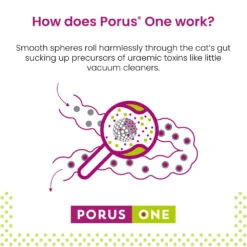 Dechra Porus One Kidney Support For Cats 30 X 500mg & FREE Add One Treats 10 Dechra Porus One Kidney Support For Cats 30 X 500mg & FREE Add One Treats -Pet Supplies c0h2ztzv01d